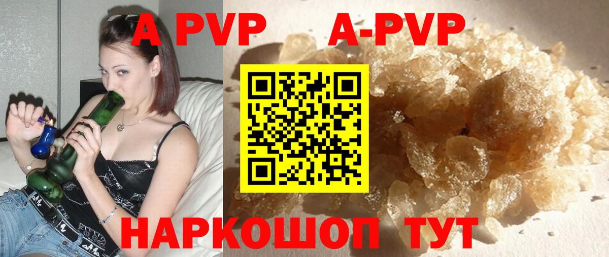 A PVP СК Новоалтайск