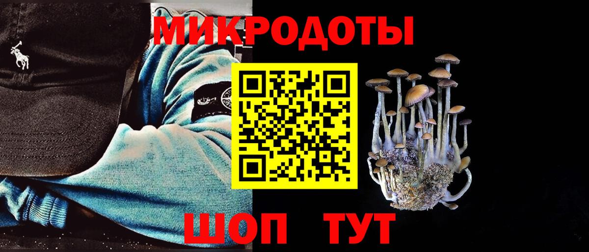 Новоалтайск  Галлюциногенные грибы Psilocybe  Вход с VPN 
